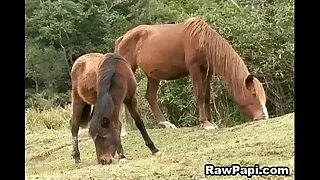 1745 men porn videos