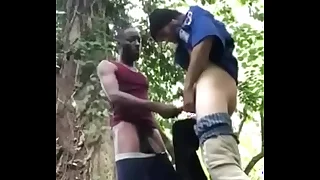 10258 cock porn videos